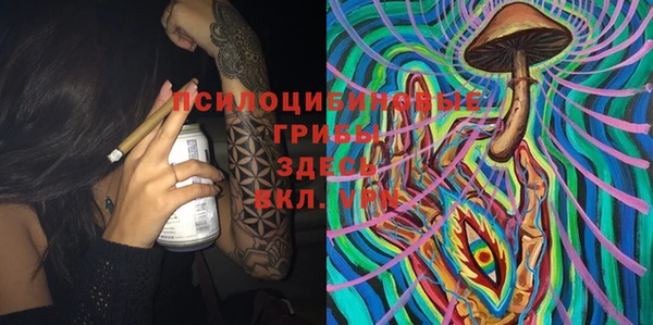 бошки Богородицк